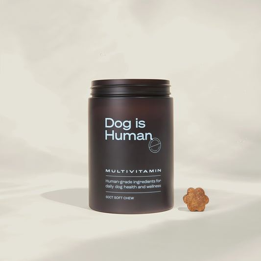 DM-01™ Daily Multivitamin 100% Human-Grade Ingredients  - Chicken Flavor